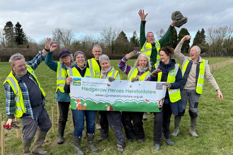 Local Hedgerow heroes