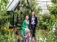 Blue Diamond aims for Gold at RHS Chelsea Flower Show