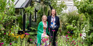 Blue Diamond aims for Gold at RHS Chelsea Flower Show