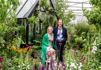 Blue Diamond aims for Gold at RHS Chelsea Flower Show