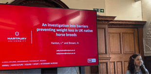 Hartpury's Equestrian Research Seminar showcases student projects