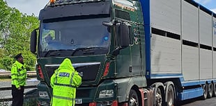Rural crime crackdown: Ross operation nets arrest and fines 