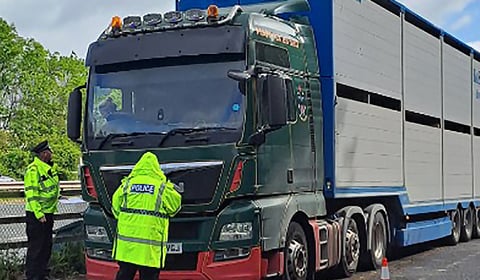 Rural crime crackdown: Ross operation nets arrest and fines 