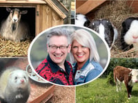 Pen Y Bryn Animal Sanctuary thrives with community support