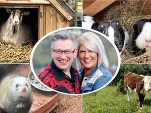 Pen Y Bryn Animal Sanctuary thrives with community support
