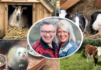 Pen Y Bryn Animal Sanctuary thrives with community support