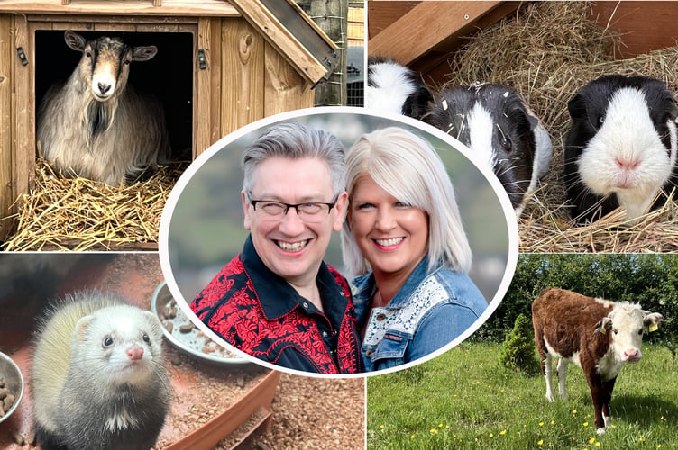 Animal sanctuary