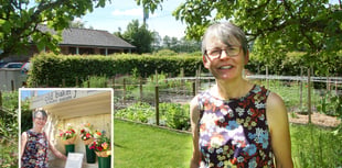 Lucy's dream blooms at her Old Bakery Flower Garden