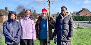 Ross Nature Recovery Group kickstarts major tree planting initiative 