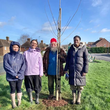 Tree planting