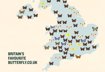 Vote for Britain's Favourite Butterfly: Orange-tip leads in Herefordshire