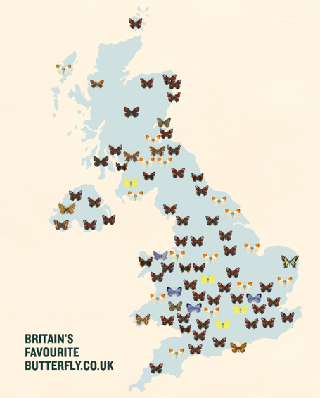 butterfly map
