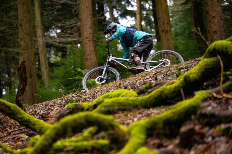 29.02.24.
Forestry England.
Forest of Dean.

PIC © Andy Lloyd
www.andylloyd.photography



















