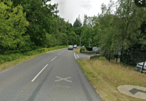 Tree blocks road near Speech House