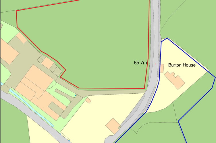 Dog walking field