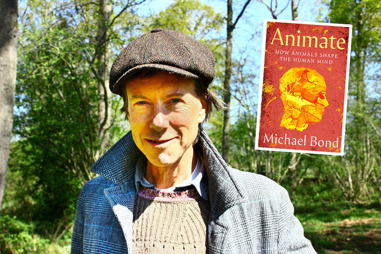 author