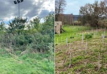 Community projects offered grants for biodiversity