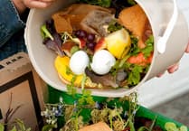 £2m per year food waste collection delayed