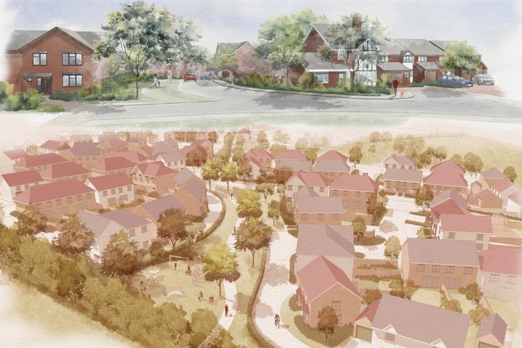 development proposal