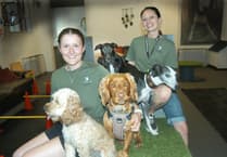 Carly's dream to open Snoopy's Doggy Daycare becomes reality