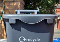 Weekly food waste collection to be launched next year