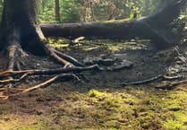 ICYMI: Fire Service swiftly contains fire
