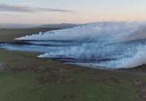 Firefighters deployed to investigate smoke reports in the Forest of Dean