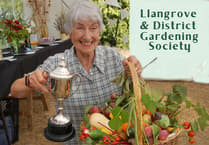 Llangrove Gardening Show thrives despite hot weather