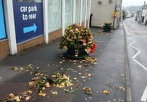 Woman charged over town flower display damage
