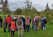 Big Apple Harvestime returns to Much Marcle