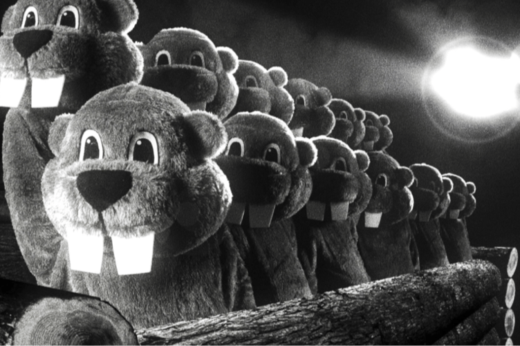 A scene from Hundreds of Beavers, the first film to be shown by the new Spike Cinema in Ross-on-Wye.