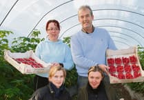 Herefordshire fruit grower fights back against council polytunnel decision