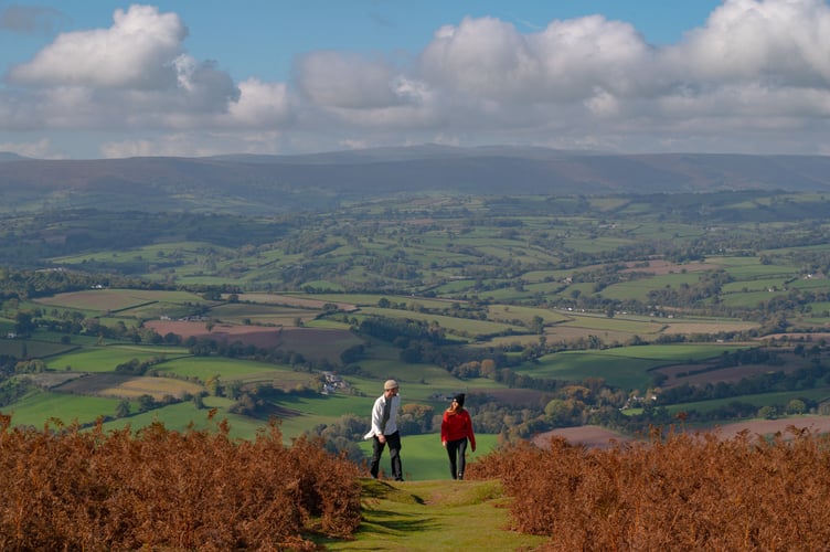 The view across Garway Hill.