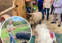 Local pianist Peter Gill opens animal sanctuary to Phoenix Theatre